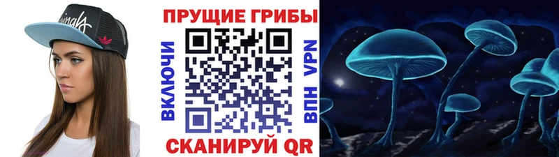 МЕГА как войти  Махачкала  Галлюциногенные грибы мицелий 