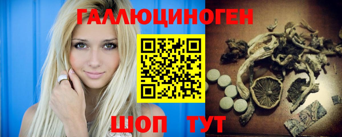 Махачкала  Псилоцибиновые грибы Magic Shrooms  Вход с VPN 